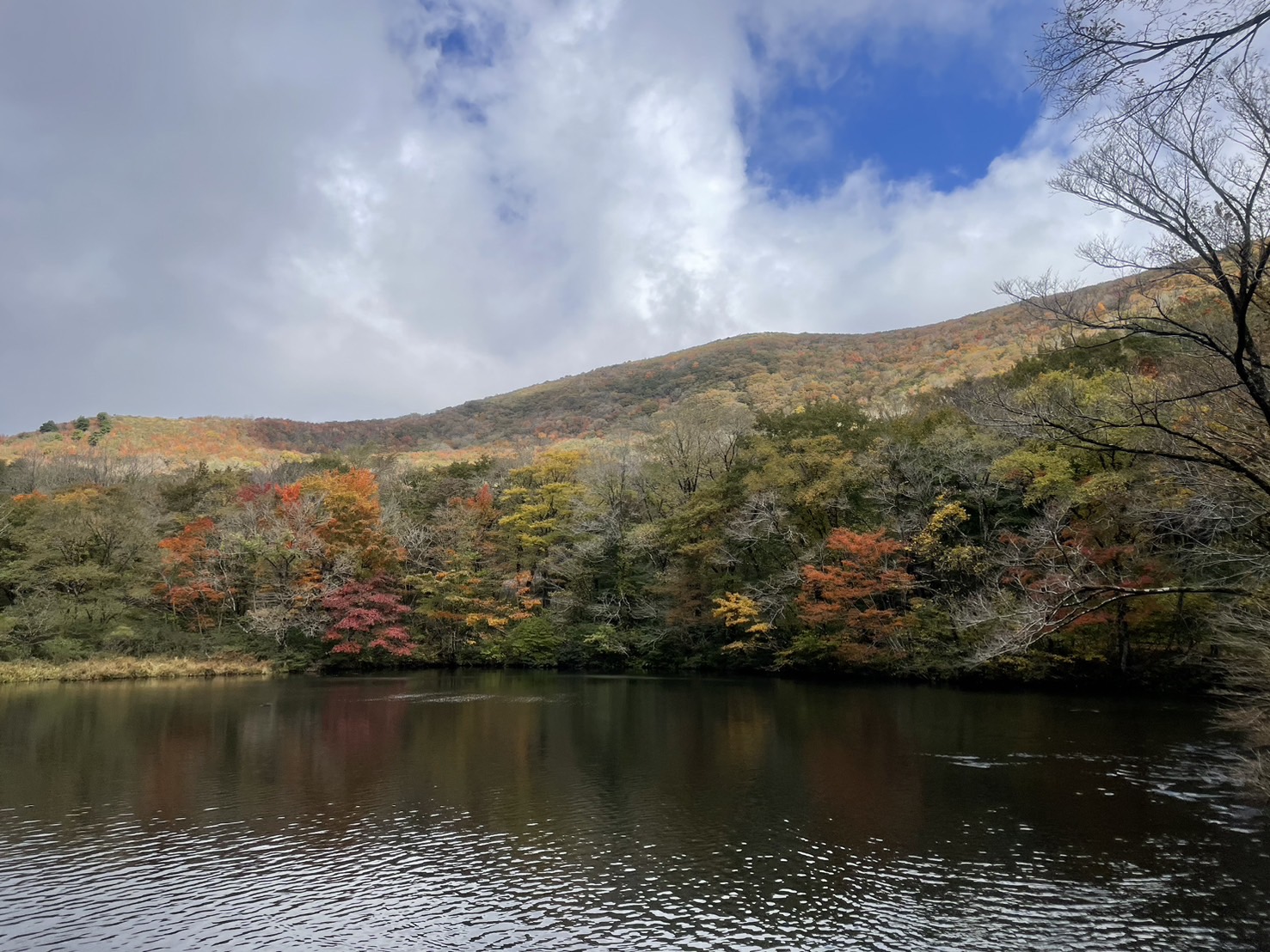 見どころ
吾妻山は「比婆道後帝釈国定公園」に属し、広島県北部の庄原市から北に35kmほどの場所にあります。休暇村吾妻山ロッジは2020年に閉館致しました。
お手洗いは、元キャンプ場の公衆トイレをご利用ください。
※気象状況により、変動することがありますので、予めご了承ください。