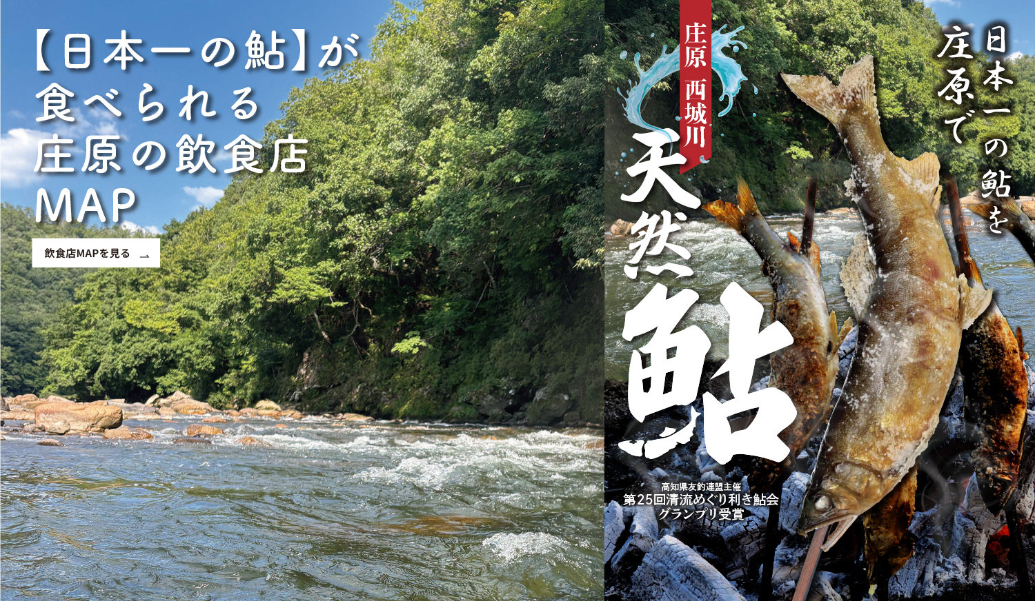 庄原 西城川 鮎
