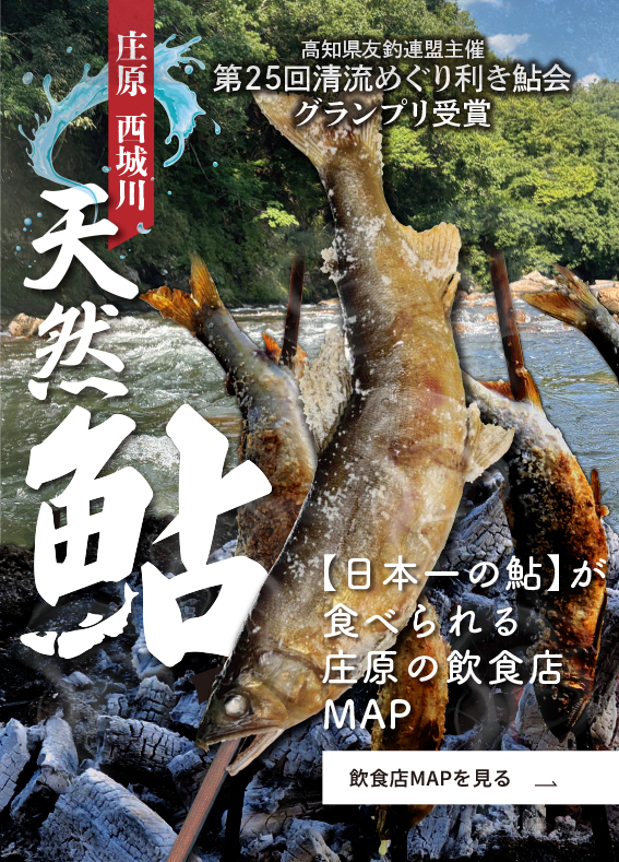 庄原 西城川 鮎