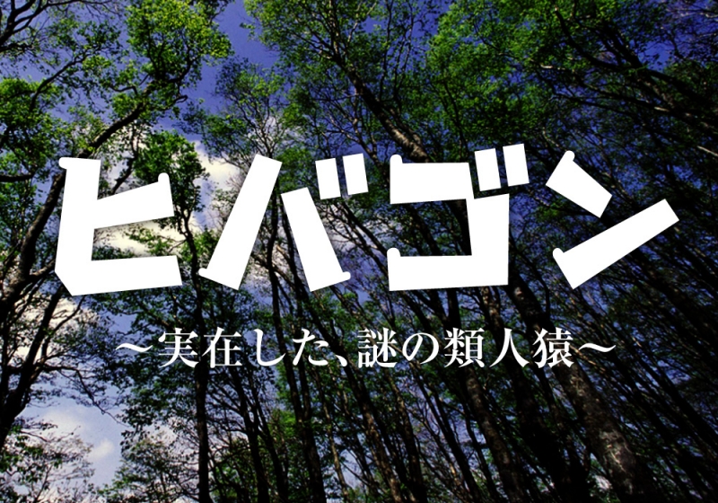 ヒバゴン～実在した、謎の類人猿～|庄原観光ナビ 【公式】広島県庄原市