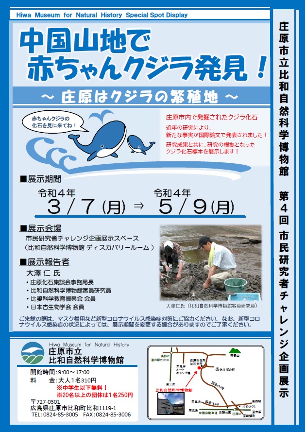 中国山地で赤ちゃんクジラ発見！～庄原はクジラの繁殖地～