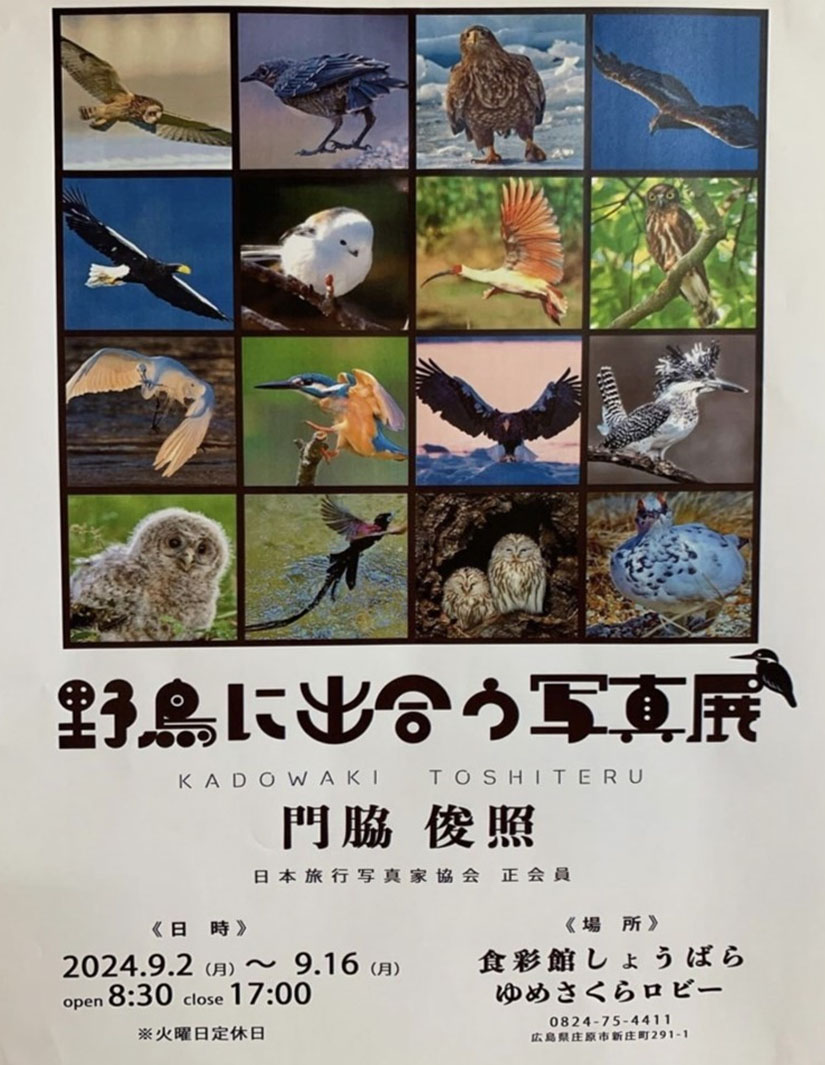 野鳥に出合う写真展